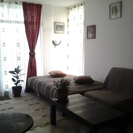 Grand Kamelia *